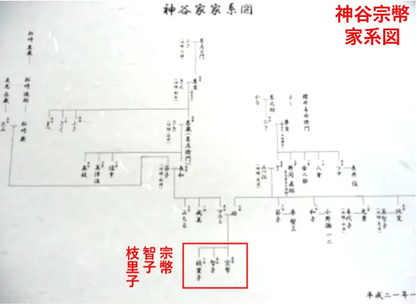 神谷宗幣の家系図